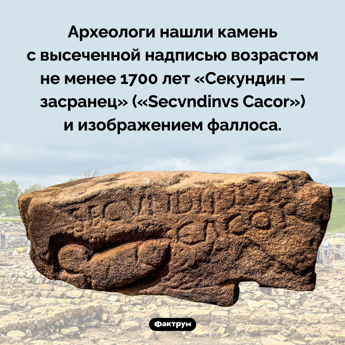 Древнее оскорбление. Археологи нашли камень с высеченной надписью возрастом не менее 1700 лет «Секундин — засранец» («Secvndinvs Cacor») и изображением фаллоса.