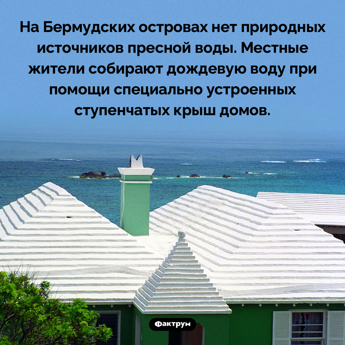 На Бермудах нет источников пресной воды. На Бермудских островах нет природных источников пресной воды. Местные жители собирают дождевую воду при помощи специально устроенных ступенчатых крыш домов.