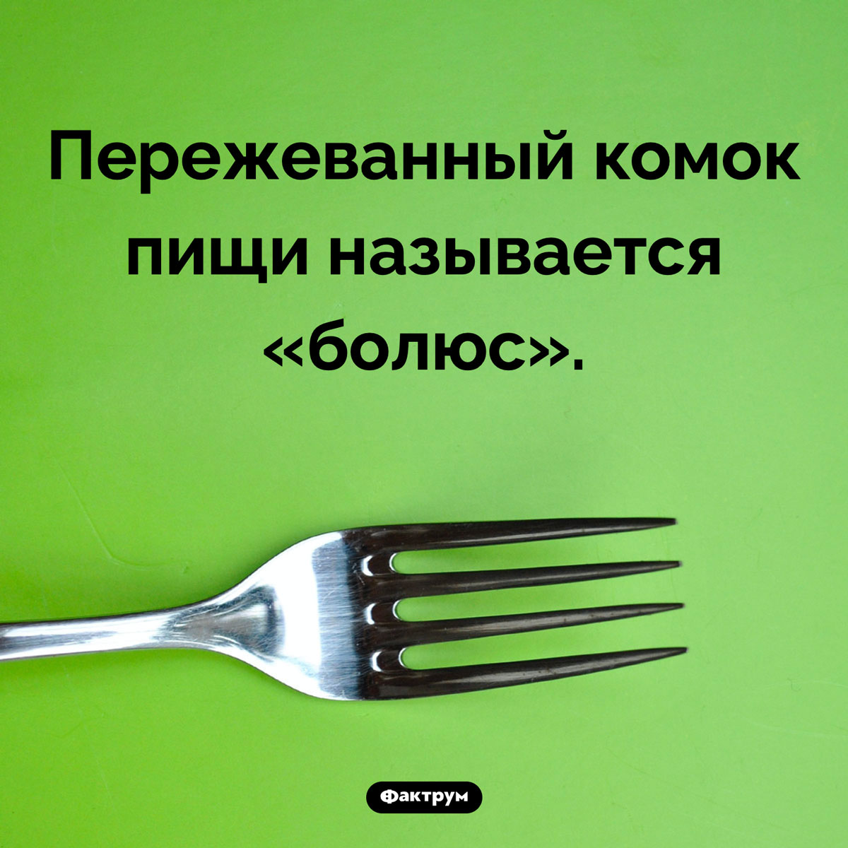 Как называется пережеванная еда. Пережеванный комок пищи называется «болюс».