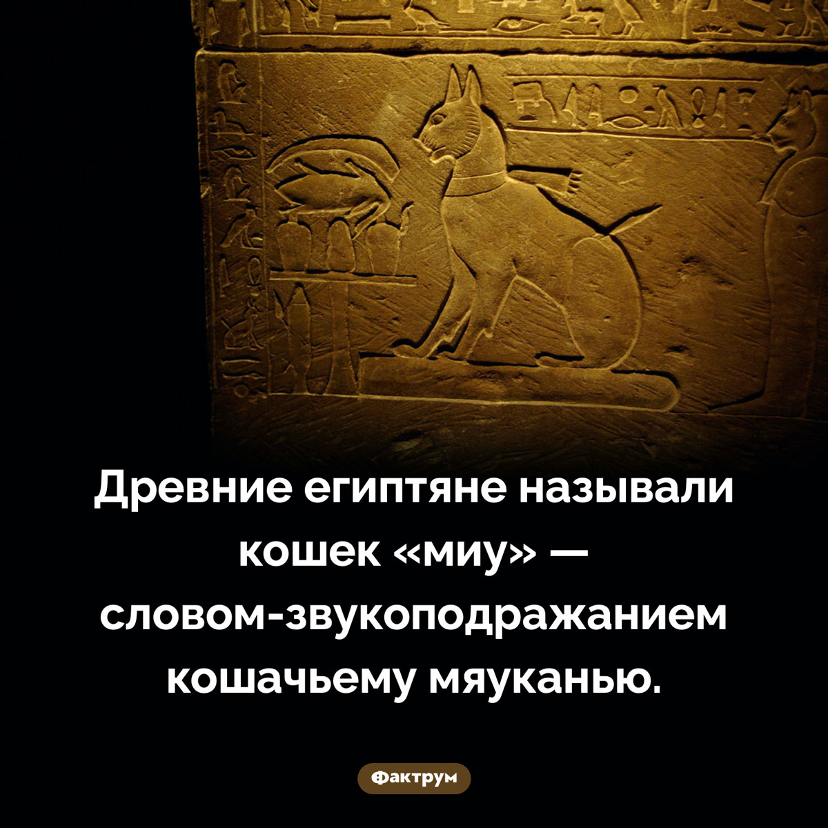 Как назывались кошки в Древнем Египте. Древние египтяне называли кошек «миу» — словом-звукоподражанием кошачьему мяуканью.
