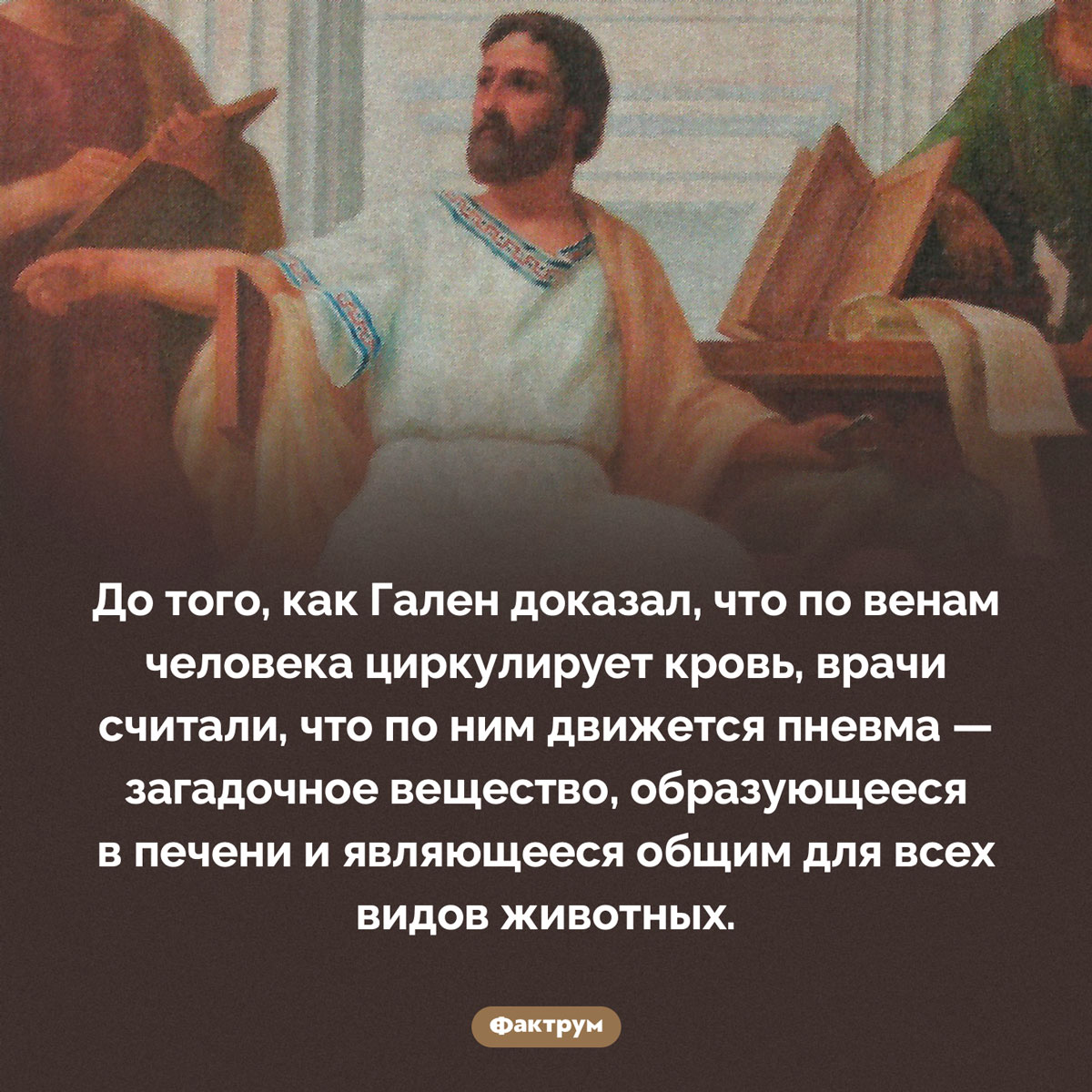 Что такое «пневма». До того, как Гален доказал, что по венам человека циркулирует кровь, врачи считали, что по ним движется пневма — загадочное вещество, образующееся в печени и являющееся общим для всех видов животных.