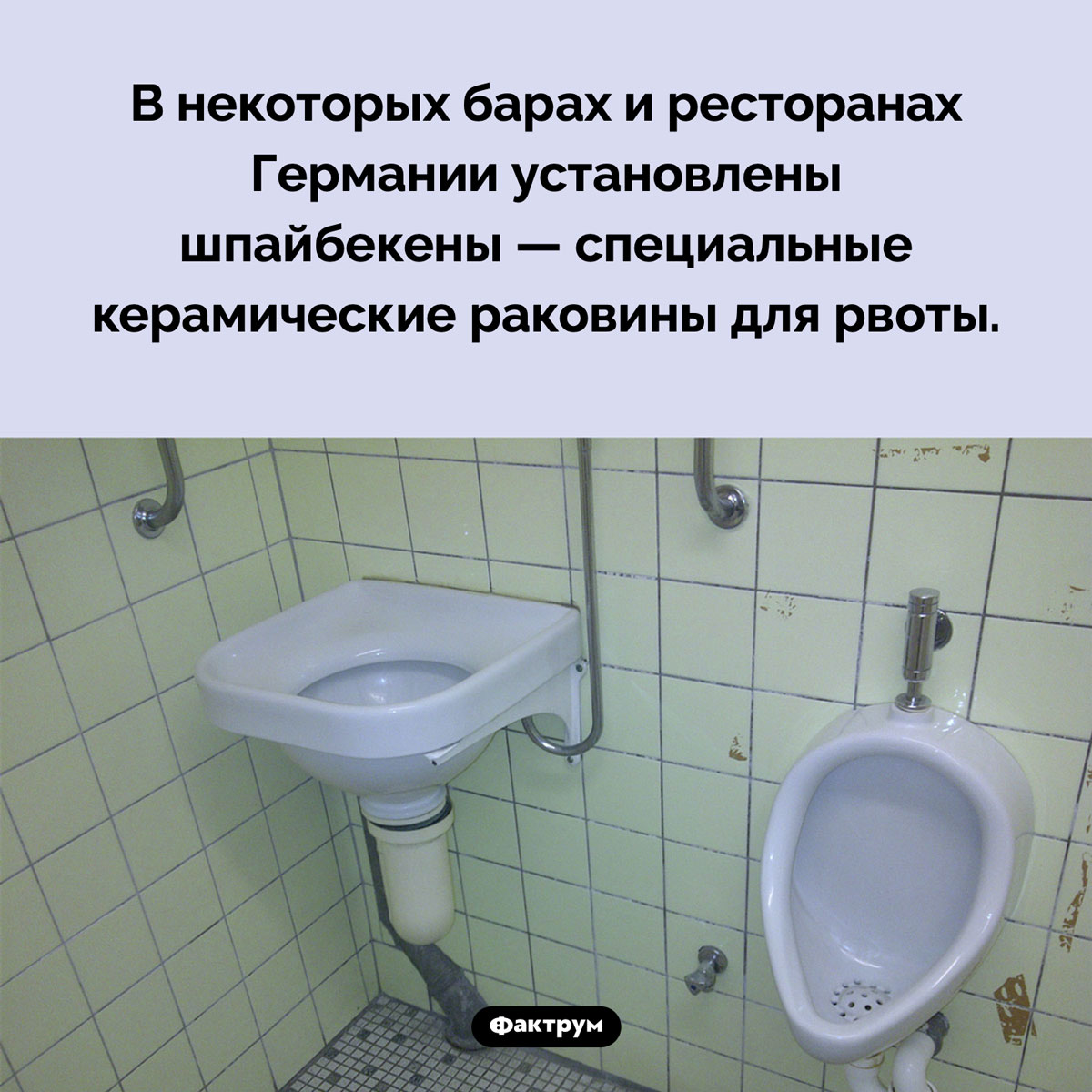 Что такое «шпайбекены». В некоторых барах и ресторанах Германии установлены шпайбекены — специальные керамические раковины для рвоты.