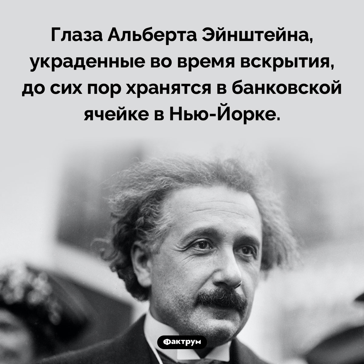 Глаза Эйнштейна. Глаза Альберта Эйнштейна, украденные во время вскрытия, до сих пор хранятся в банковской ячейке в Нью-Йорке.