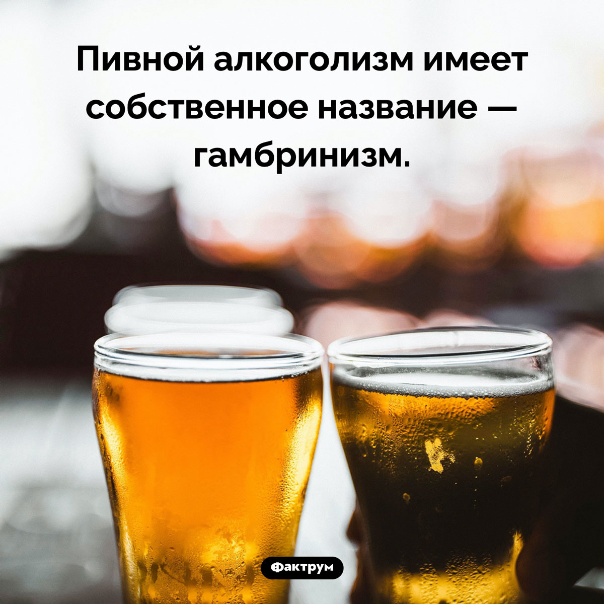 Как называется пивной алкоголизм. Пивной алкоголизм имеет собственное название — гамбринизм.