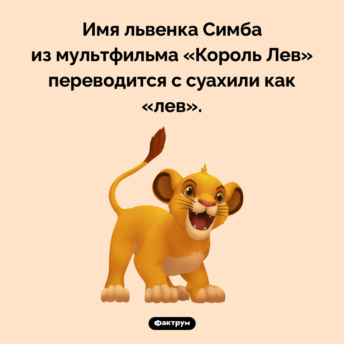 Что значит «Симба». Имя львенка Симба из мультфильма «Король Лев» переводится с суахили как «лев».