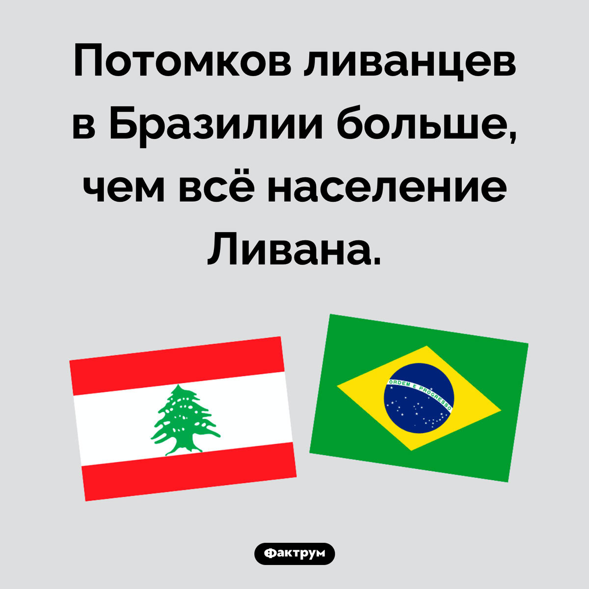 Где живет больше всего ливанцев. Потомков ливанцев в Бразилии больше, чем всё население Ливана.