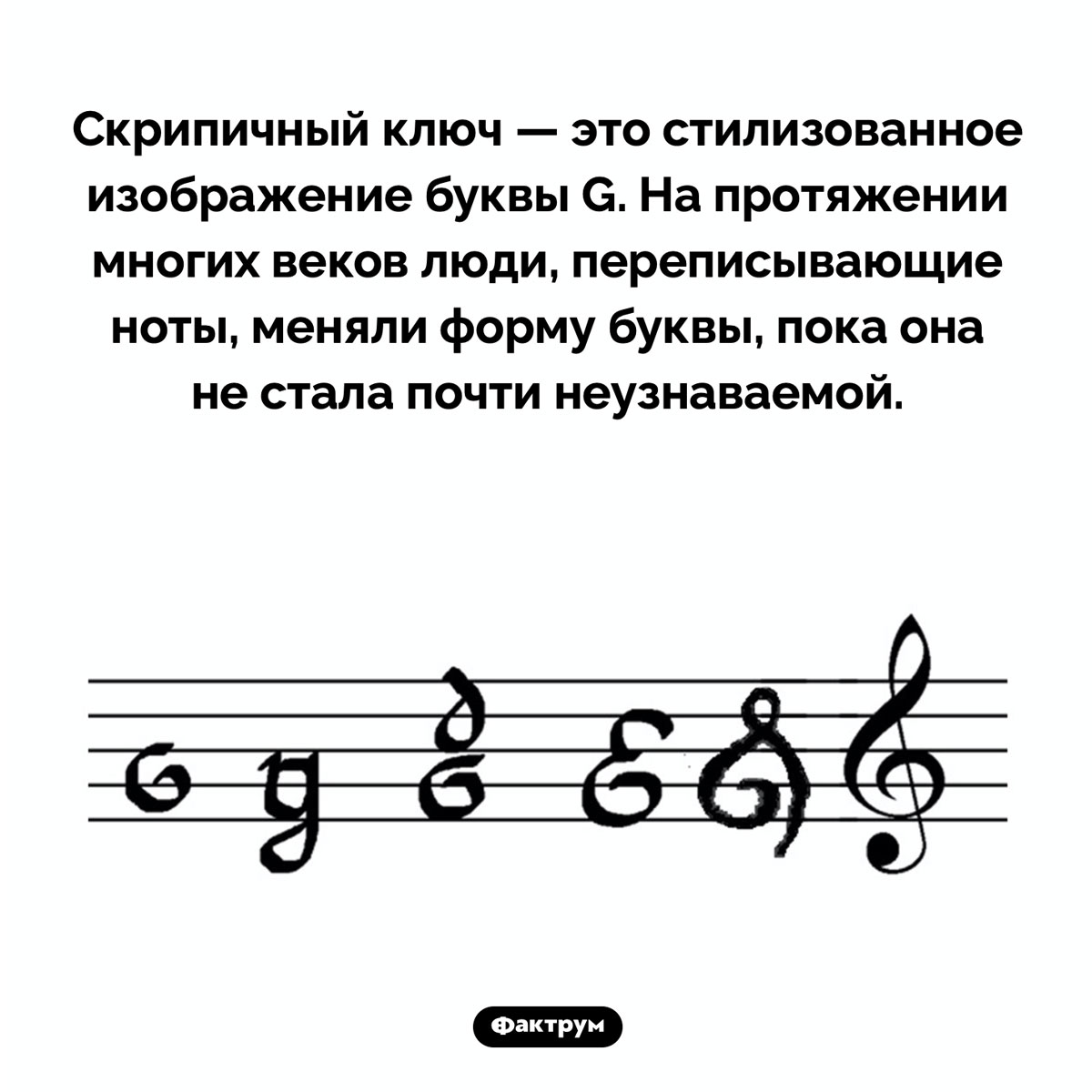 Откуда взялся знак скрипичного ключа. Скрипичный ключ — это стилизованное изображение буквы G. На протяжении многих веков люди, переписывающие ноты, меняли форму буквы, пока она не стала почти неузнаваемой.