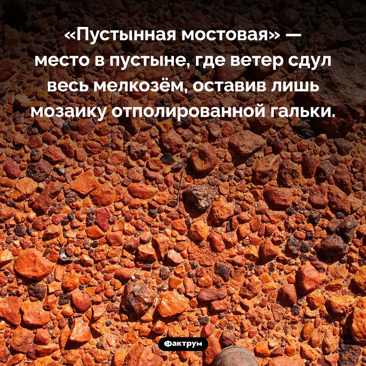 «Пустынная мостовая». «Пустынная мостовая» — место в пустыне, где ветер сдул весь мелкозём, оставив лишь мозаику отполированной гальки.