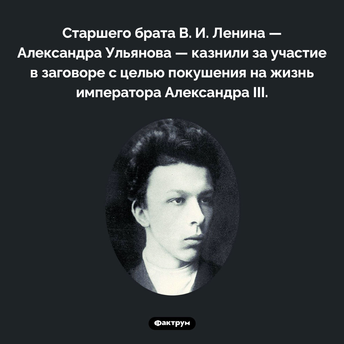 Старший брат Ленина тоже был революционером. Старшего брата В. И. Ленина — Александра Ульянова — казнили за участие в заговоре с целью покушения на жизнь императора Александра III.