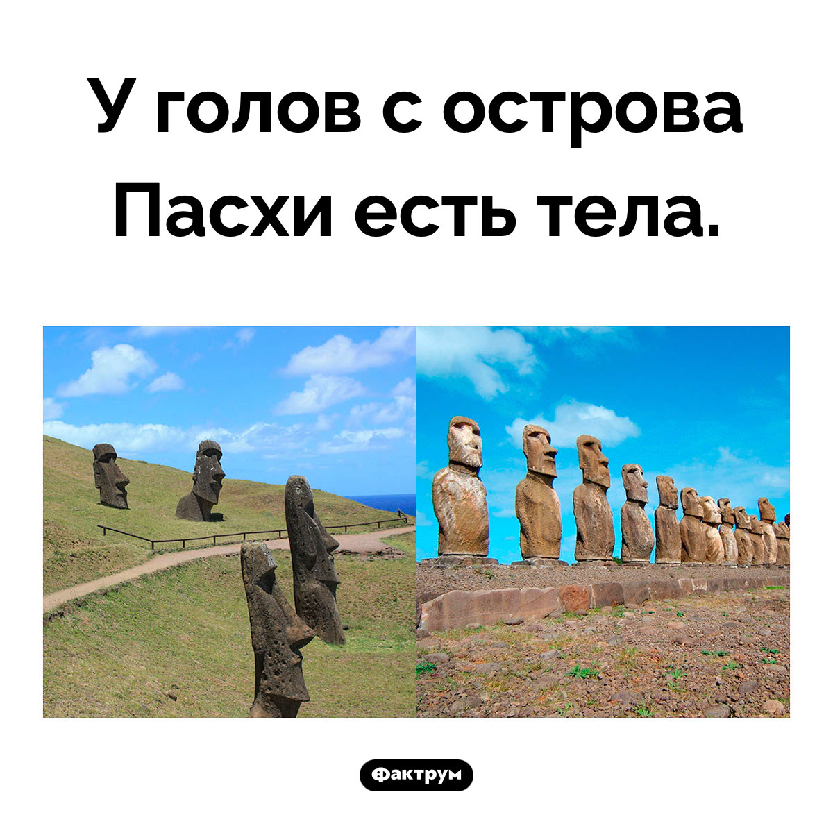 Тела Моаи. Когда археологи решили посмотреть, что находится под знаменитыми монументами голов, выяснилось, что там… всё остальное, что должно быть ниже шеи!