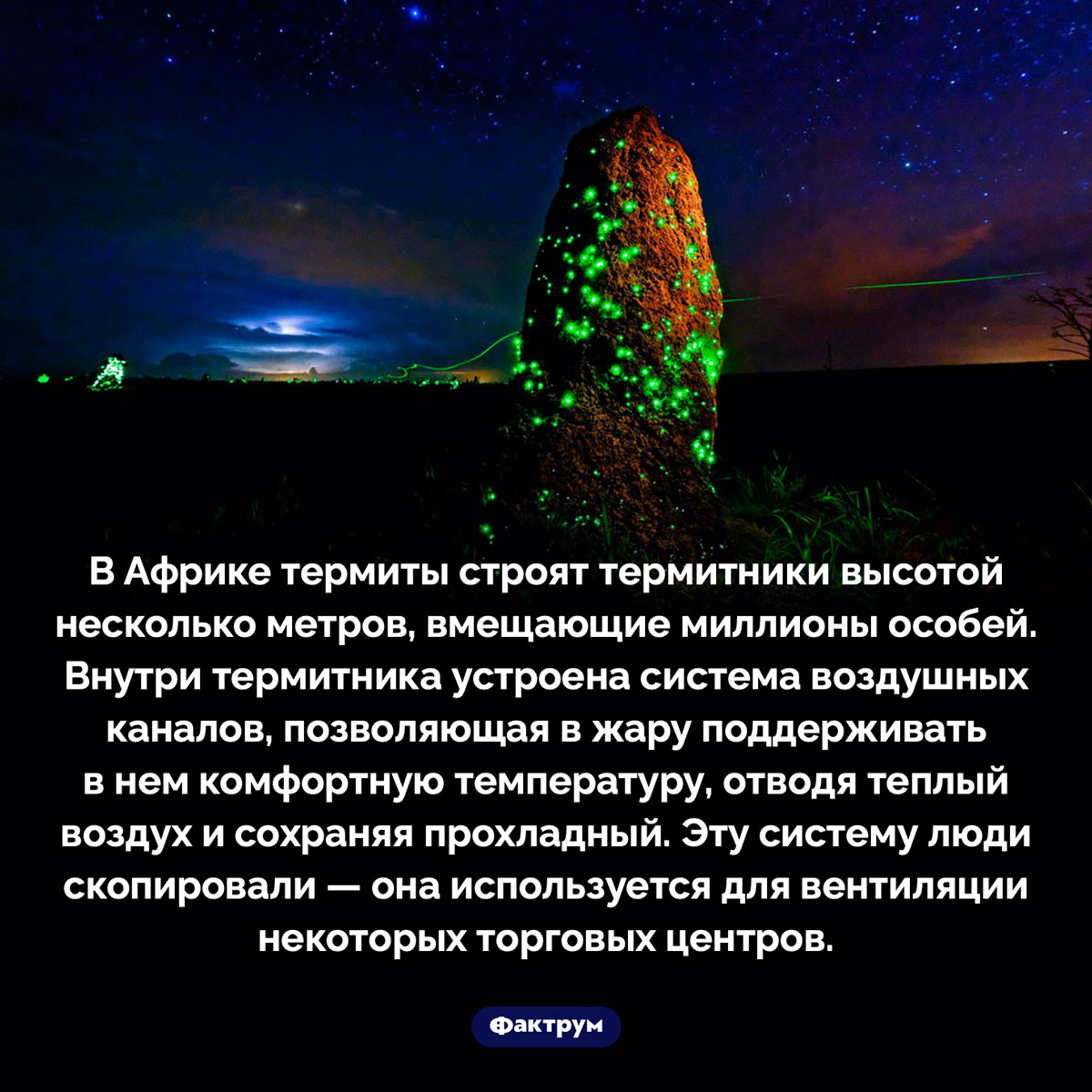 Термиты владеют технологией охлаждения помещений. В Африке термиты строят термитники высотой несколько метров, вмещающие миллионы особей. Внутри термитника устроена система воздушных каналов, позволяющая в жару поддерживать в нем комфортную температуру, отводя теплый воздух и сохраняя прохладный. Эту систему люди скопировали — она используется для вентиляции некоторых торговых центров.