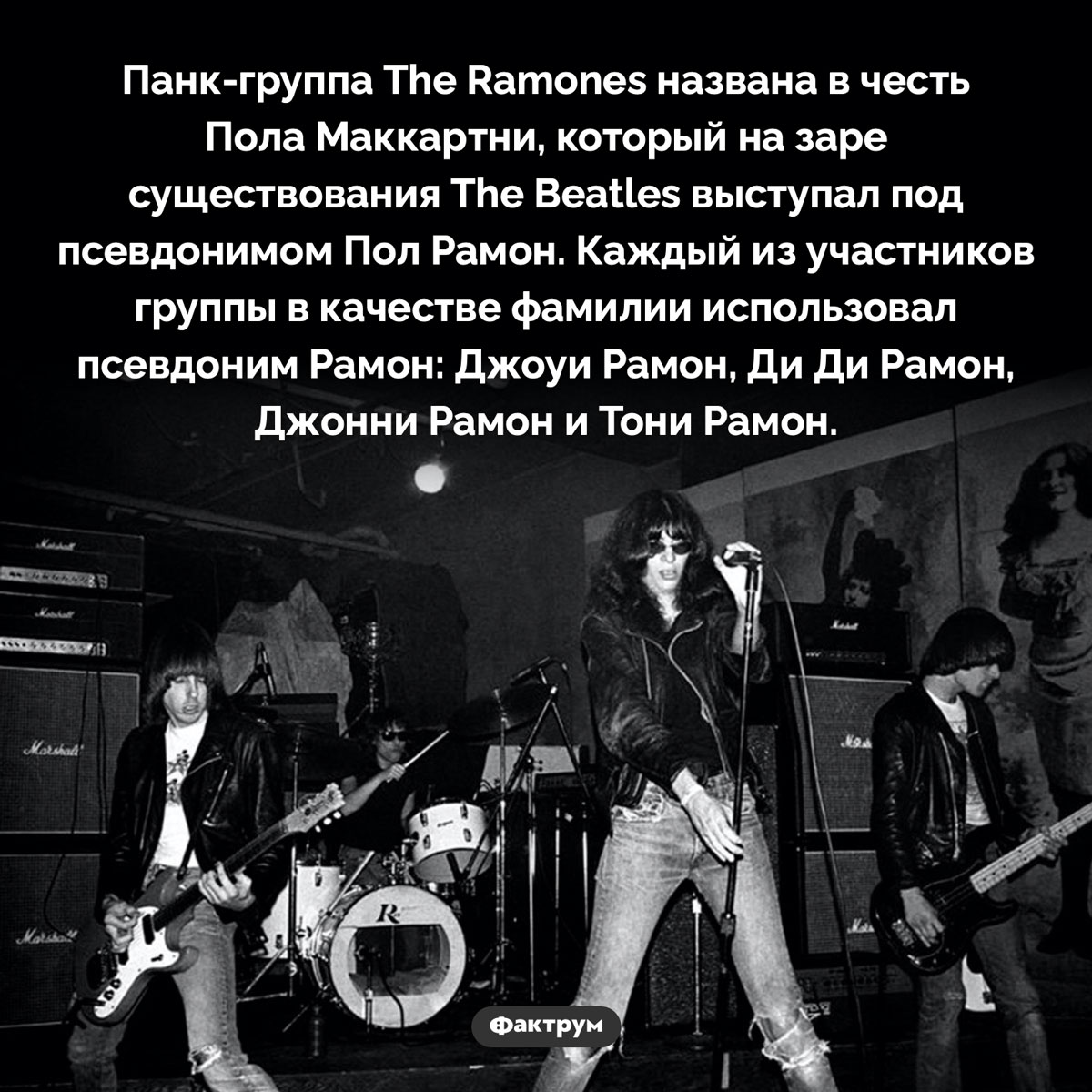 Что общего между The Ramones и Полом Маккартни