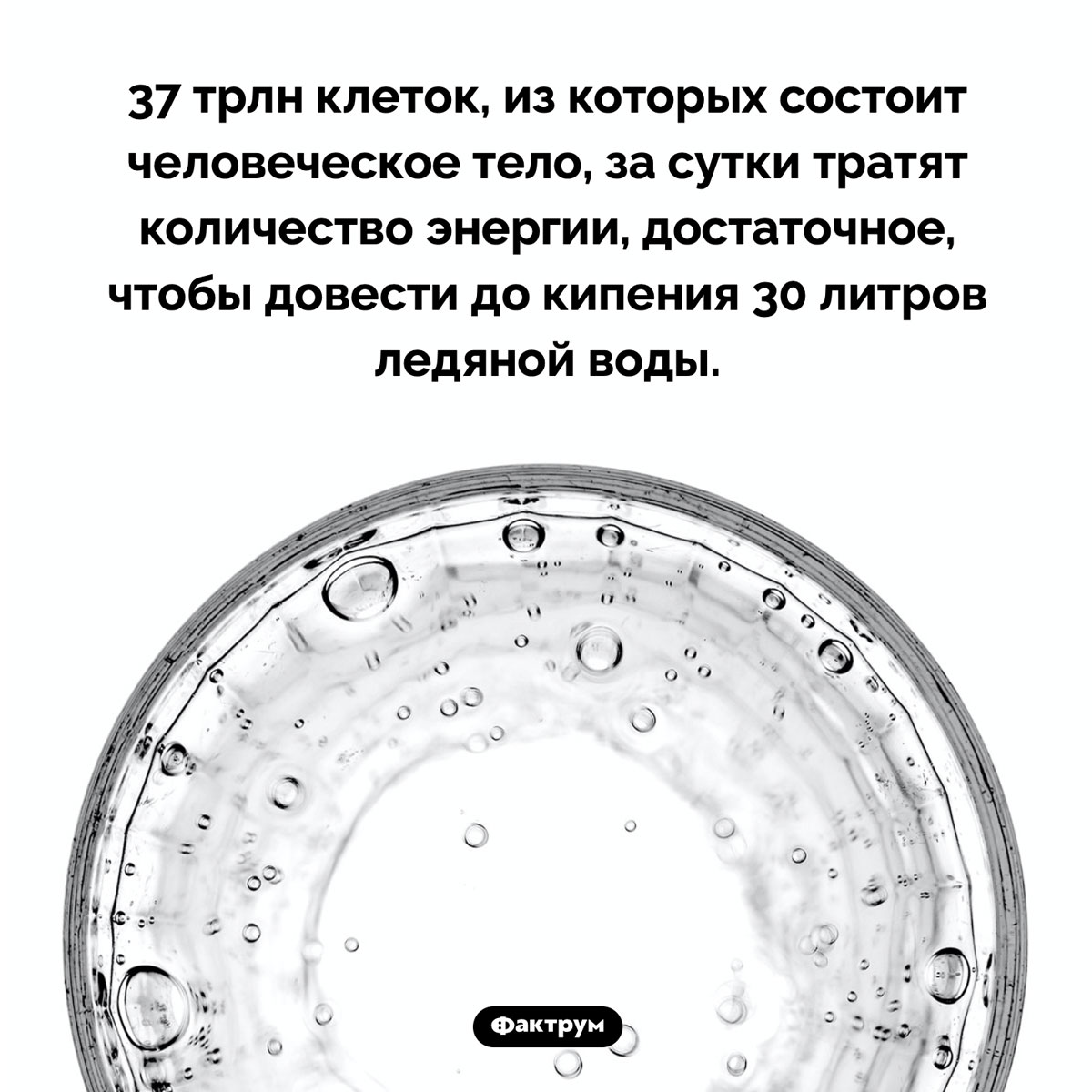 Сколько энергии мы тратим за сутки. 37 трлн клеток, из которых состоит человеческое тело, за сутки тратят количество энергии, достаточное, чтобы довести до кипения 30 литров ледяной воды.