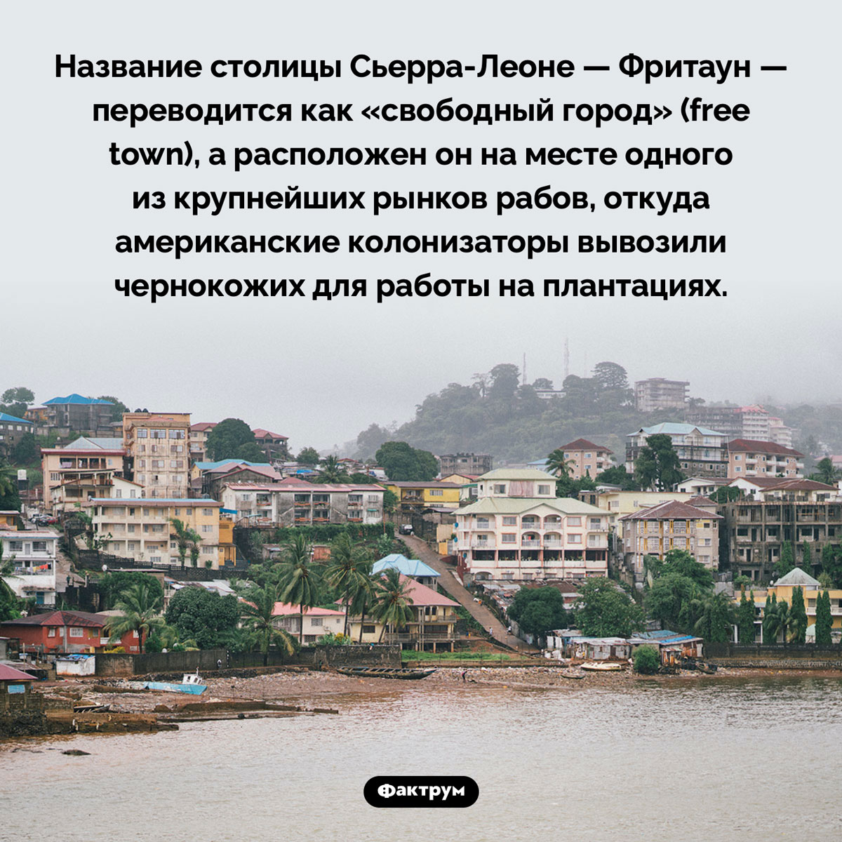 «Свободный город» расположен на месте рынка рабов. Название столицы Сьерра-Леоне — Фритаун — переводится как «свободный город» (free town), а расположен он на месте одного из крупнейших рынков рабов, откуда американские колонизаторы вывозили чернокожих для работы на плантациях.