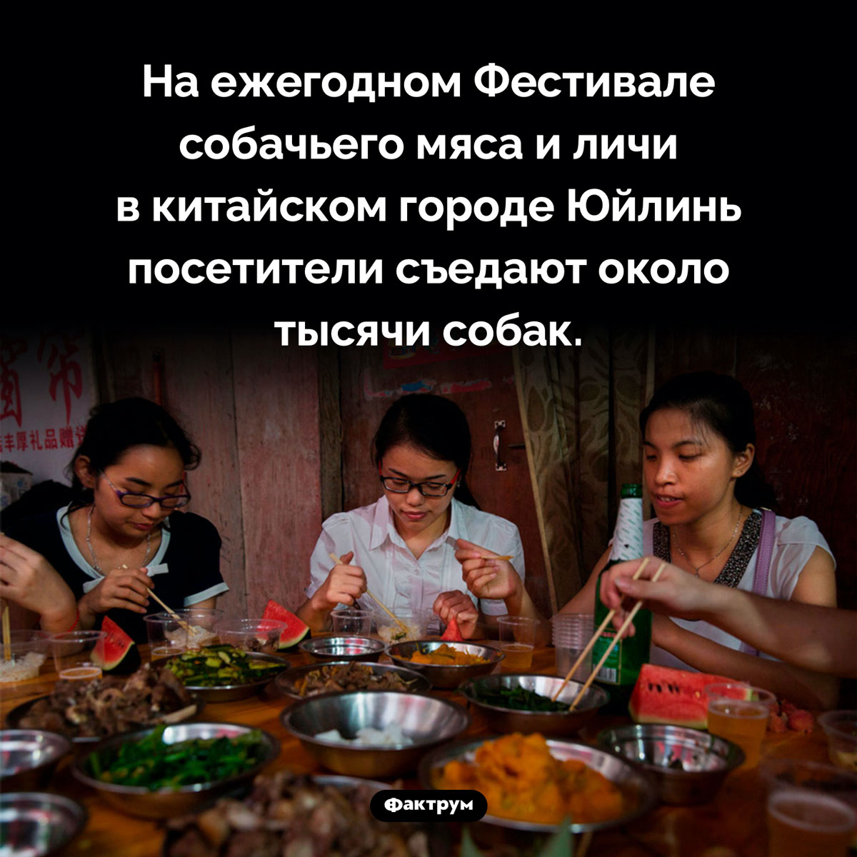 Фестиваль собачьего мяса и личи. На ежегодном Фестивале собачьего мяса и личи в китайском городе Юйлинь посетители съедают около тысячи собак.