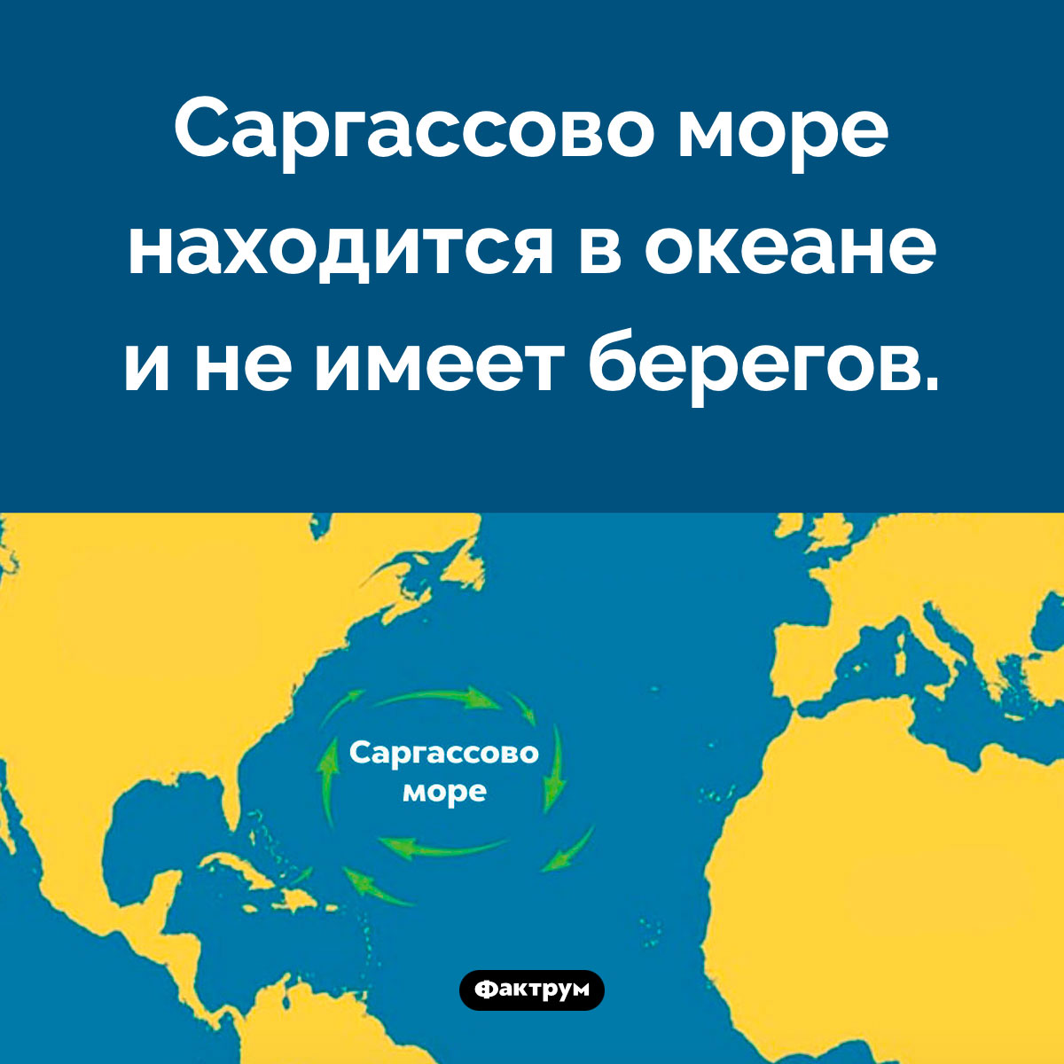 Где находится Саргассово море. Саргассово море находится в океане и не имеет берегов.