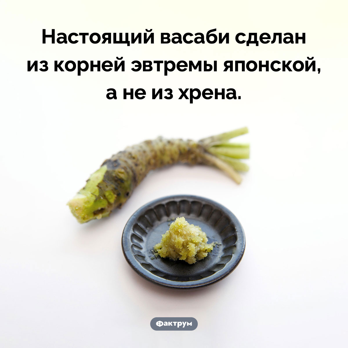 Из чего делают васаби