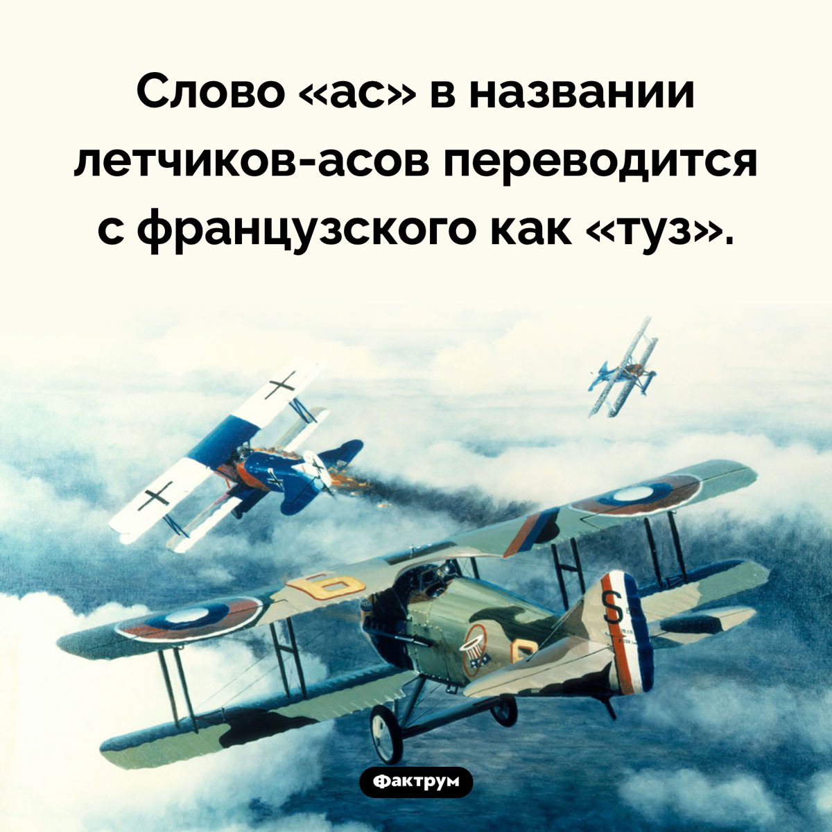 Как переводится слово «ас». Слово «ас» в названии летчиков-асов переводится с французского как «туз».