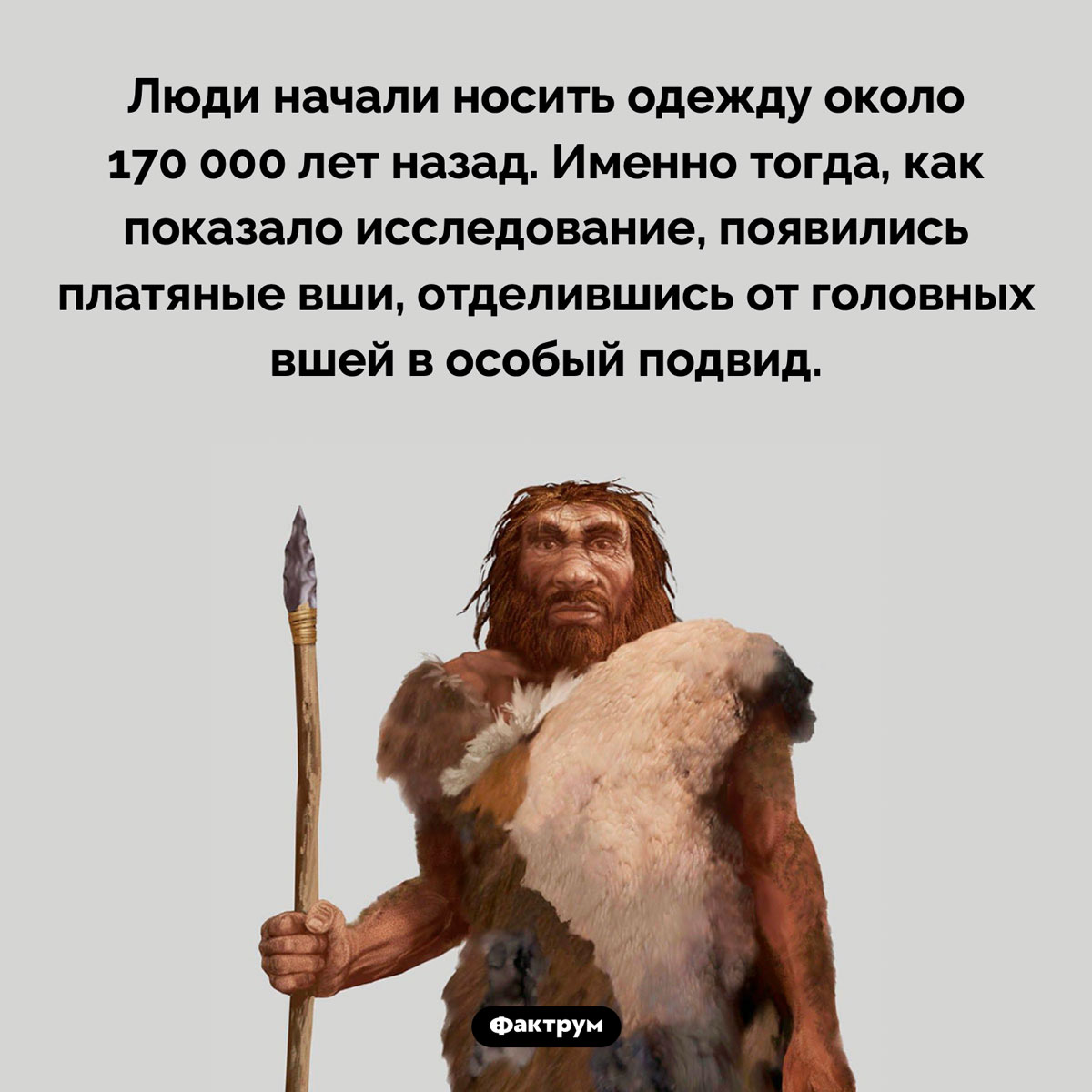 Когда люди стали носить одежду. Люди начали носить одежду около 170 000 лет назад. Именно тогда, как показало исследование, появились платяные вши, отделившись от головных вшей в особый подвид.