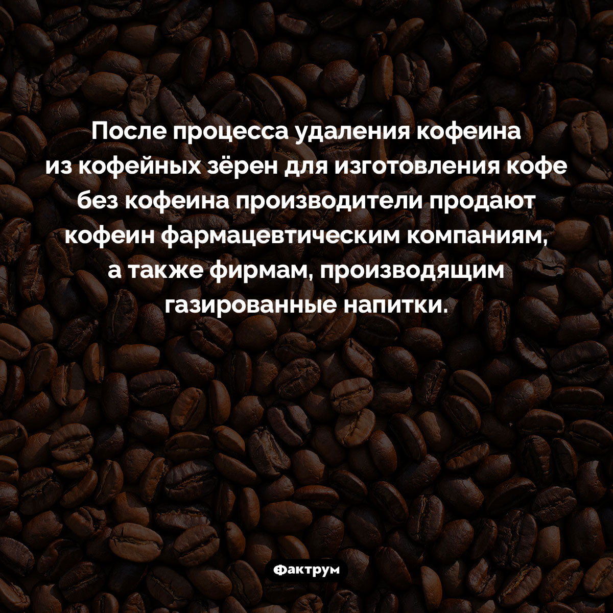 Куда девается кофеин из кофе без кофеина. После процесса удаления кофеина из кофейных зёрен для изготовления кофе без кофеина производители продают кофеин фармацевтическим компаниям, а также фирмам, производящим газированные напитки.