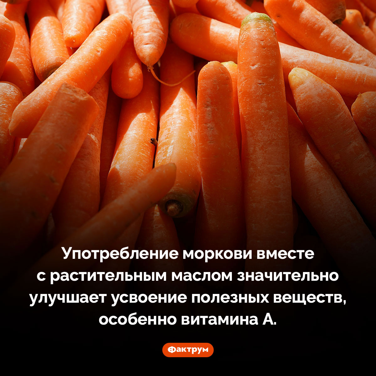 Морковку надо есть с растительным маслом. Употребление моркови вместе с растительным маслом значительно улучшает усвоение полезных веществ, особенно витамина А.