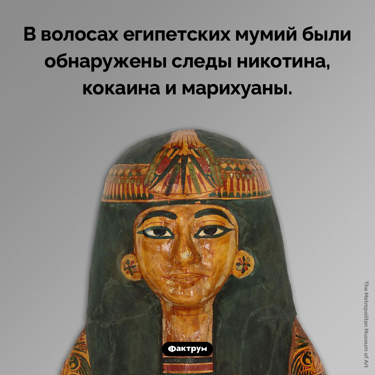 Наркотики в волосах мумий