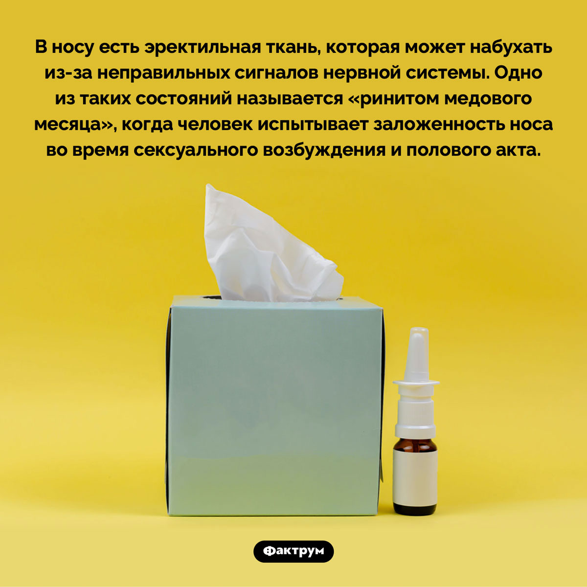 Ринит медового месяца. В носу есть эректильная ткань, которая может набухать из-за неправильных сигналов нервной системы. Одно из таких состояний называется «ринитом медового месяца», когда человек испытывает заложенность носа во время сексуального возбуждения и полового акта.