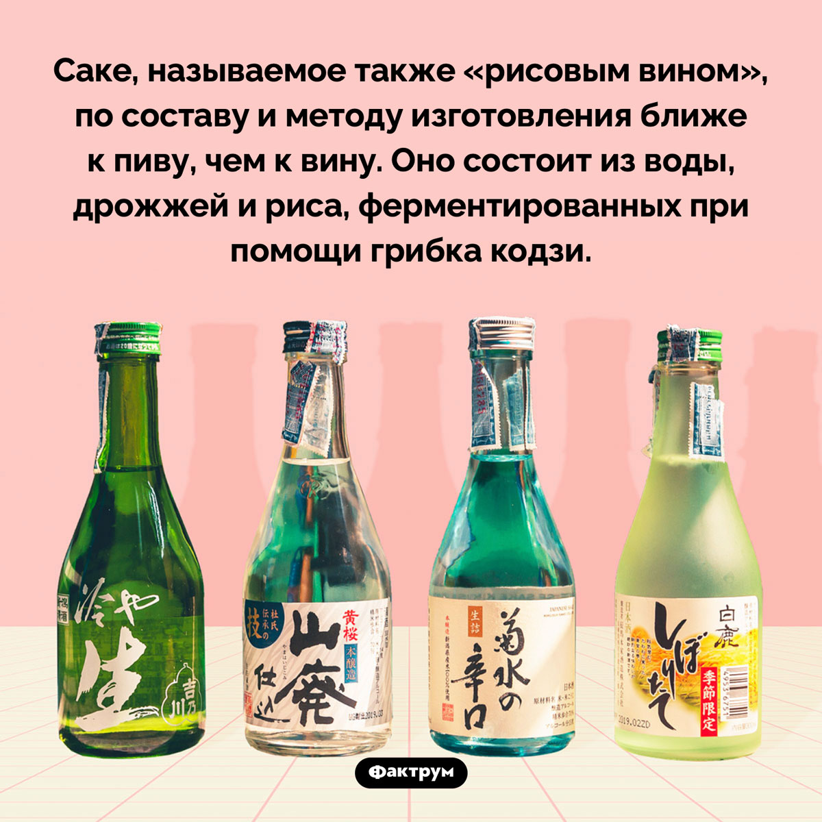 Саке ближе к пиву, чем к вину. Саке, называемое также «рисовым вином», по составу и методу изготовления ближе к пиву, чем к вину. Оно состоит из воды, дрожжей и риса, ферментированных при помощи грибка кодзи.