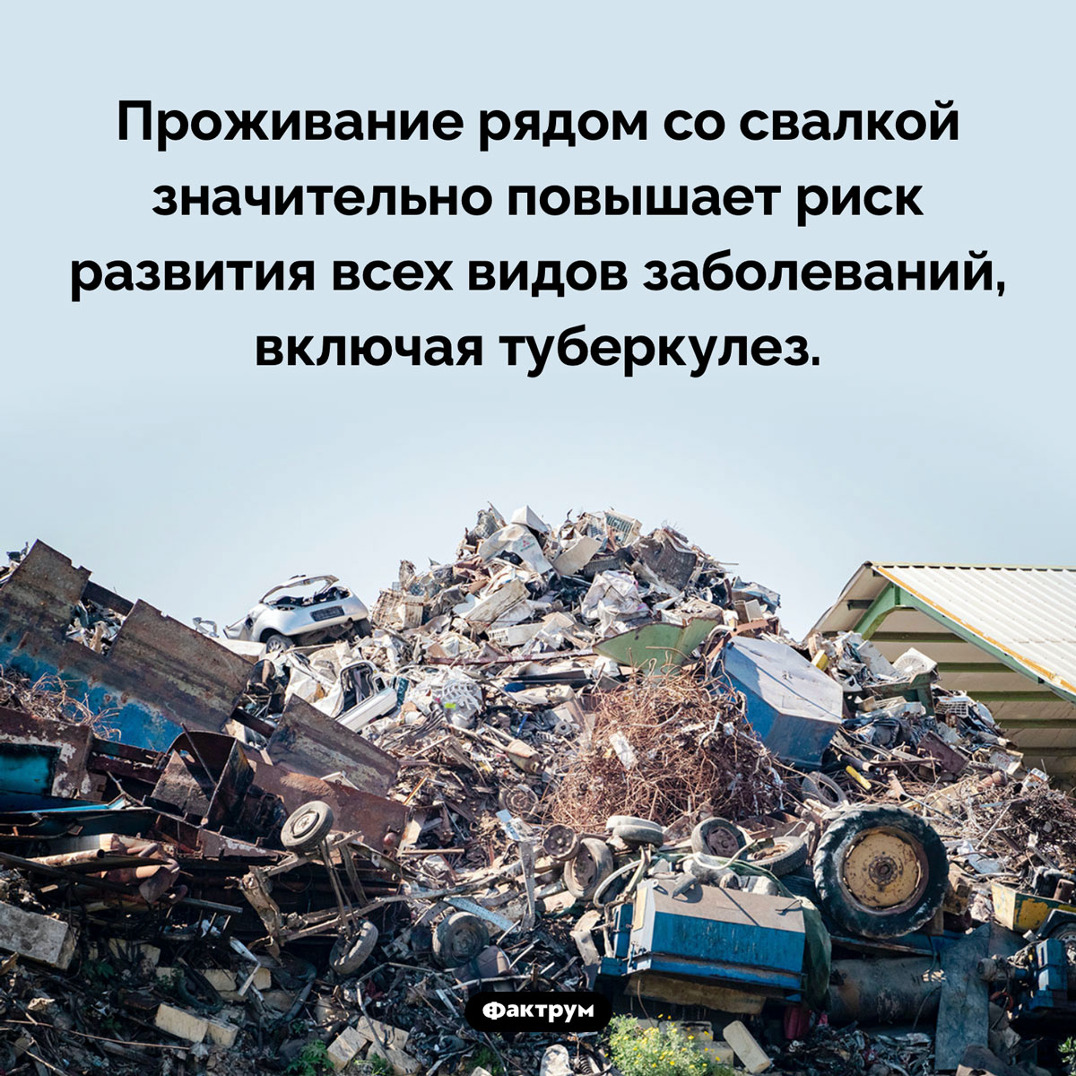 Жить рядом со свалкой вредно. Проживание рядом со свалкой значительно повышает риск развития всех видов заболеваний, включая туберкулез.