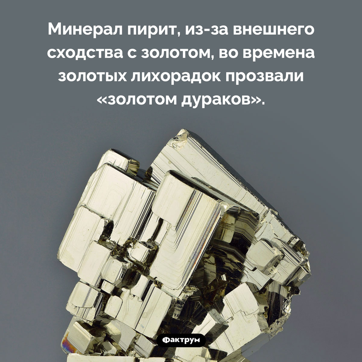 Золото дураков. Минерал пирит, из-за внешнего сходства с золотом, во времена золотых лихорадок прозвали «золотом дураков».