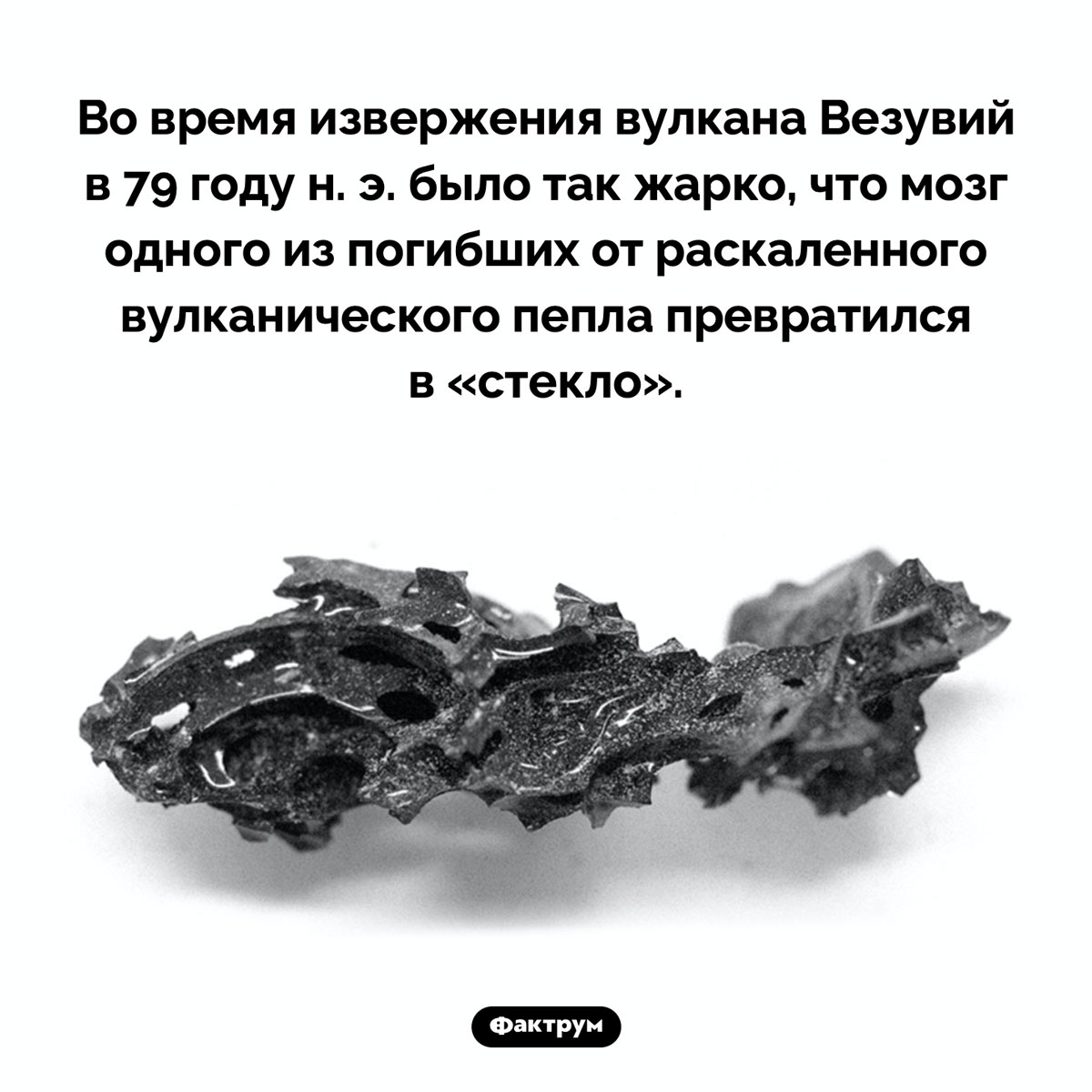 Стеклянный мозг жертвы извержения вулкана. Во время извержения вулкана Везувий в 79 году н. э. было так жарко, что мозг одного из погибших от раскаленного вулканического пепла превратился в «стекло».