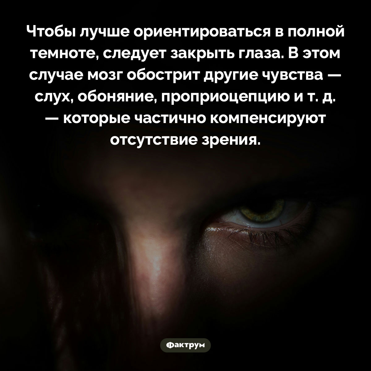 Чтобы лучше ориентироваться в темноте, закройте глаза. Чтобы лучше ориентироваться в полной темноте, следует закрыть глаза. В этом случае мозг обострит другие чувства — слух, обоняние, проприоцепцию и т. д. — которые частично компенсируют отсутствие зрения.