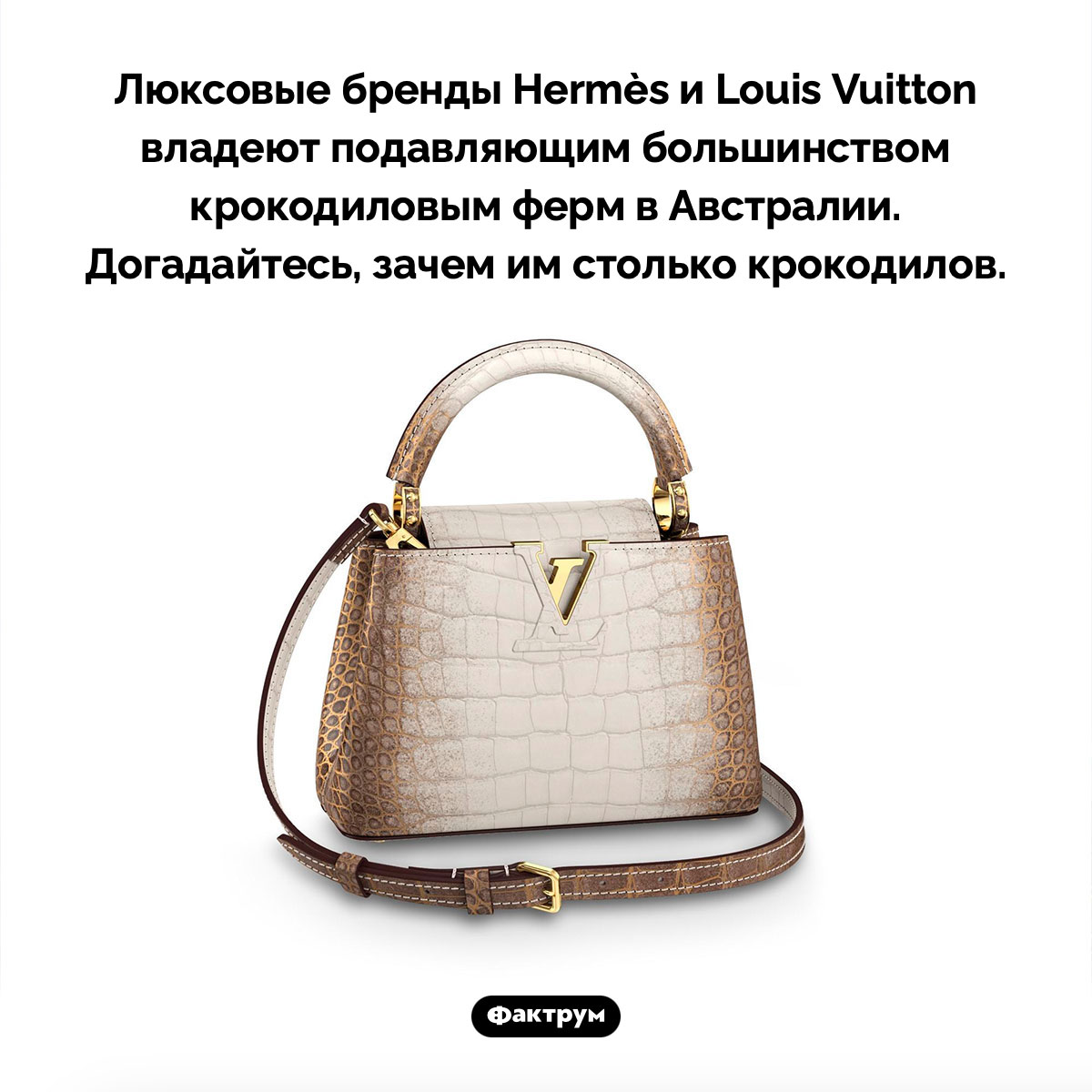 Hermès и Louis Vuitton принадлежат почти все крокодиловые фермы Австралии. Люксовые бренды Hermès и Louis Vuitton владеют подавляющим большинством крокодиловым ферм в Австралии. Догадайтесь, зачем им столько крокодилов.