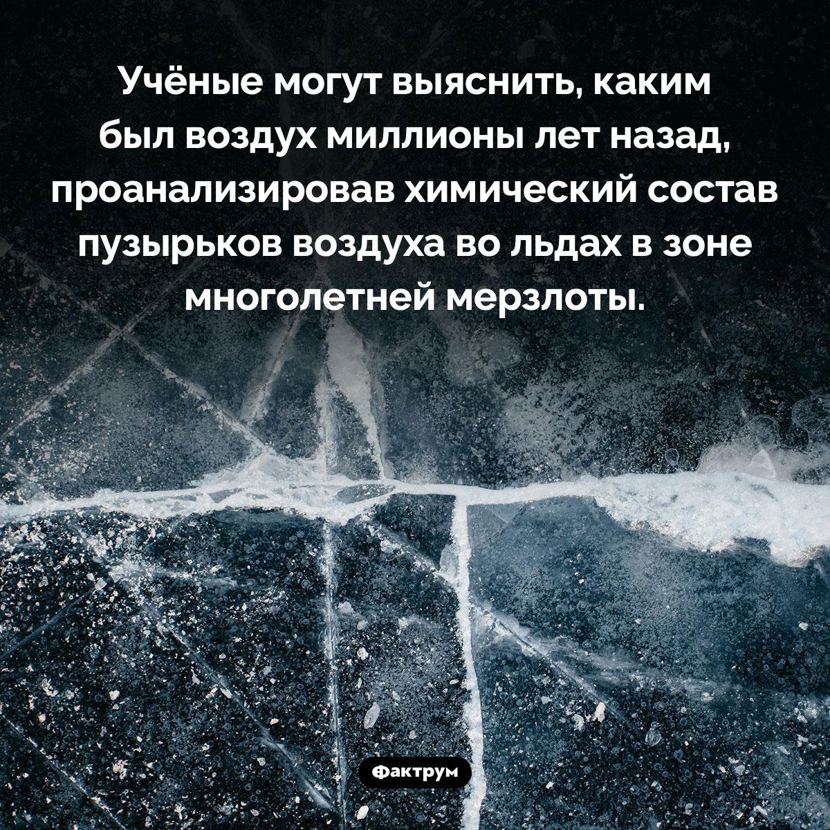 Как узнать, каким воздухом дышали динозавры. Учёные могут выяснить, каким был воздух миллионы лет назад, проанализировав химический состав пузырьков воздуха во льдах в зоне многолетней мерзлоты.