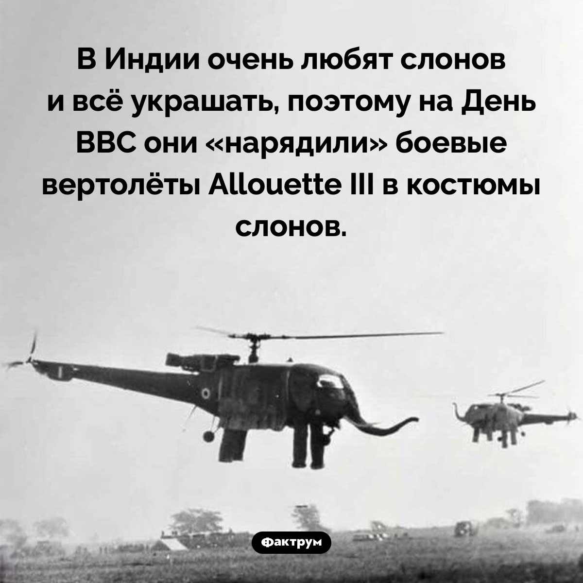 На военных парадах индусы наряжают боевую технику. В Индии очень любят слонов и всё украшать, поэтому на День ВВС они «нарядили» боевые вертолёты Allouette III в костюмы слонов.