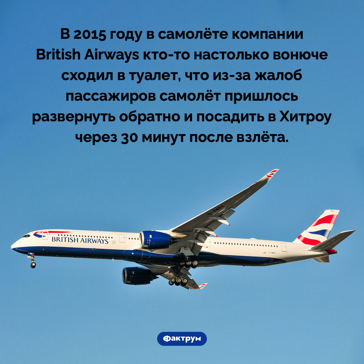 Посещение пассажиром туалета заставило самолёт вернуться в аэропорт. В 2015 году в самолёте компании British Airways кто-то настолько вонюче сходил в туалет, что из-за жалоб пассажиров самолёт пришлось развернуть обратно и посадить в Хитроу через 30 минут после взлёта.