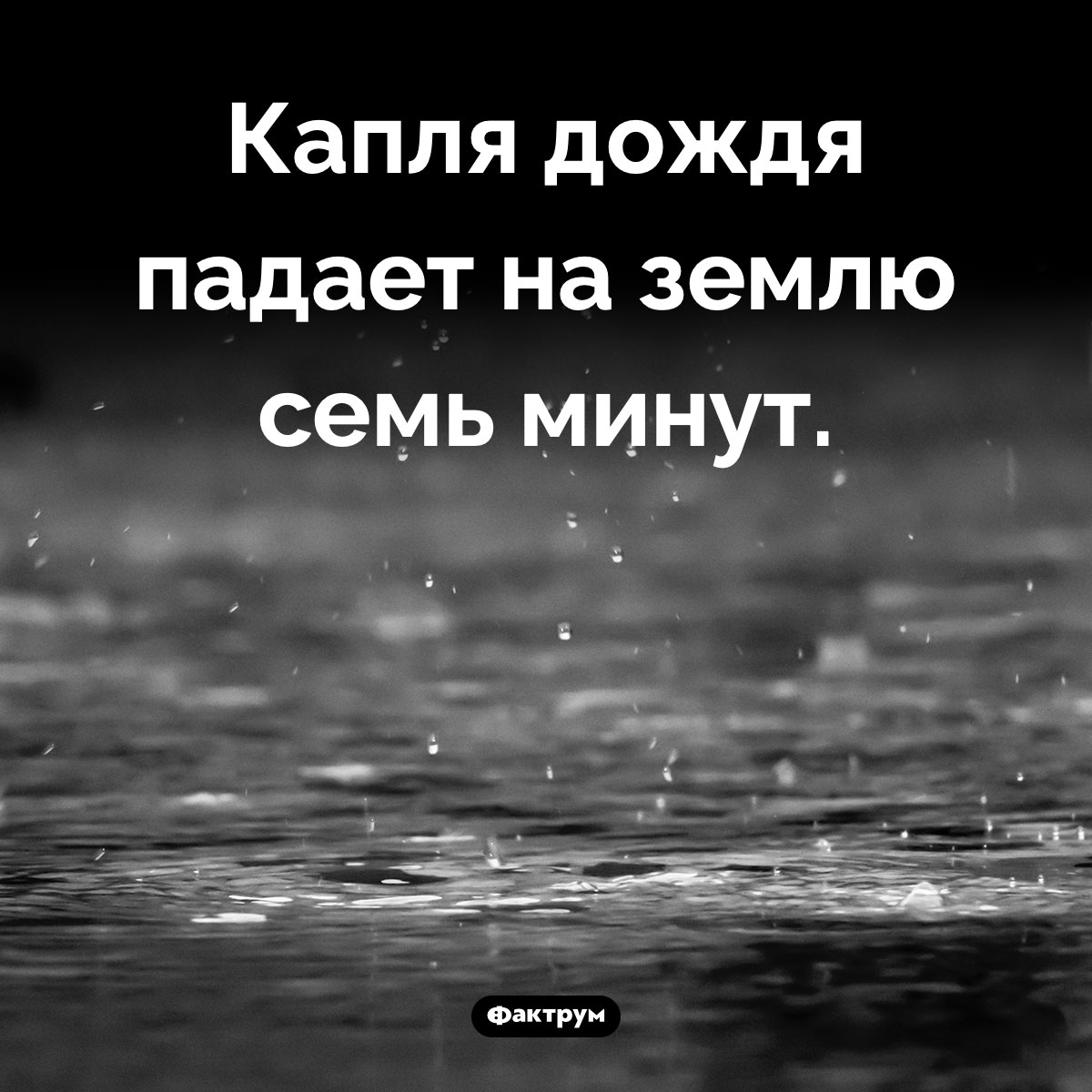 Сколько падает капля дождя. Капля дождя падает на землю семь минут.