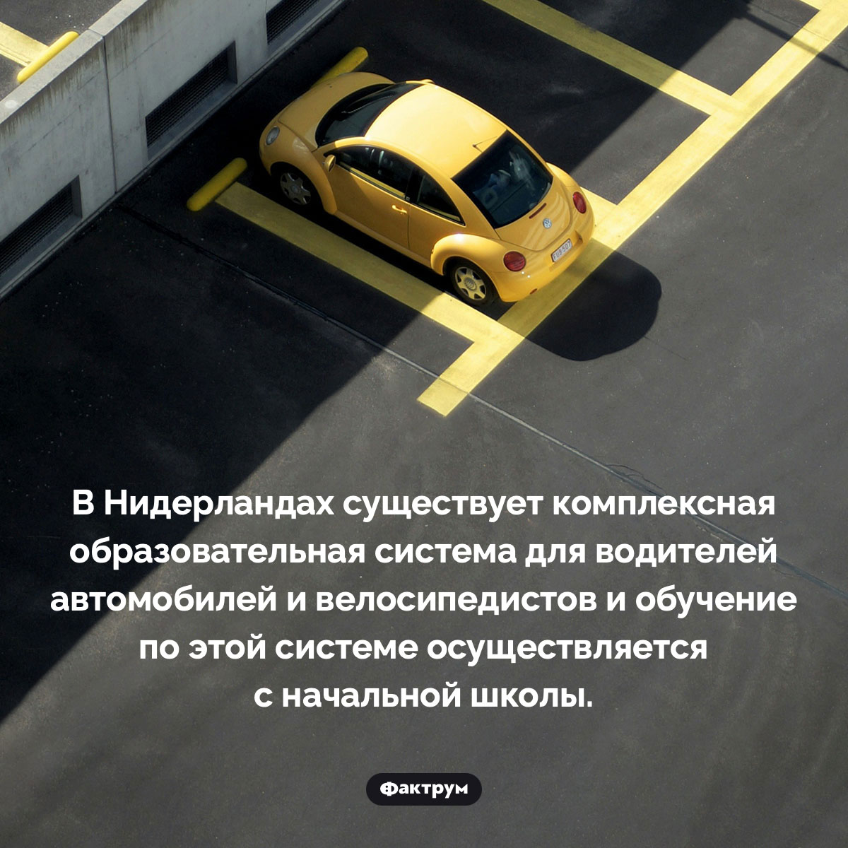 В Нидерландах вождению велосипеда и автомобиля обучают с детства. В Нидерландах существует комплексная образовательная система для водителей автомобилей и велосипедистов и обучение по этой системе осуществляется с начальной школы.