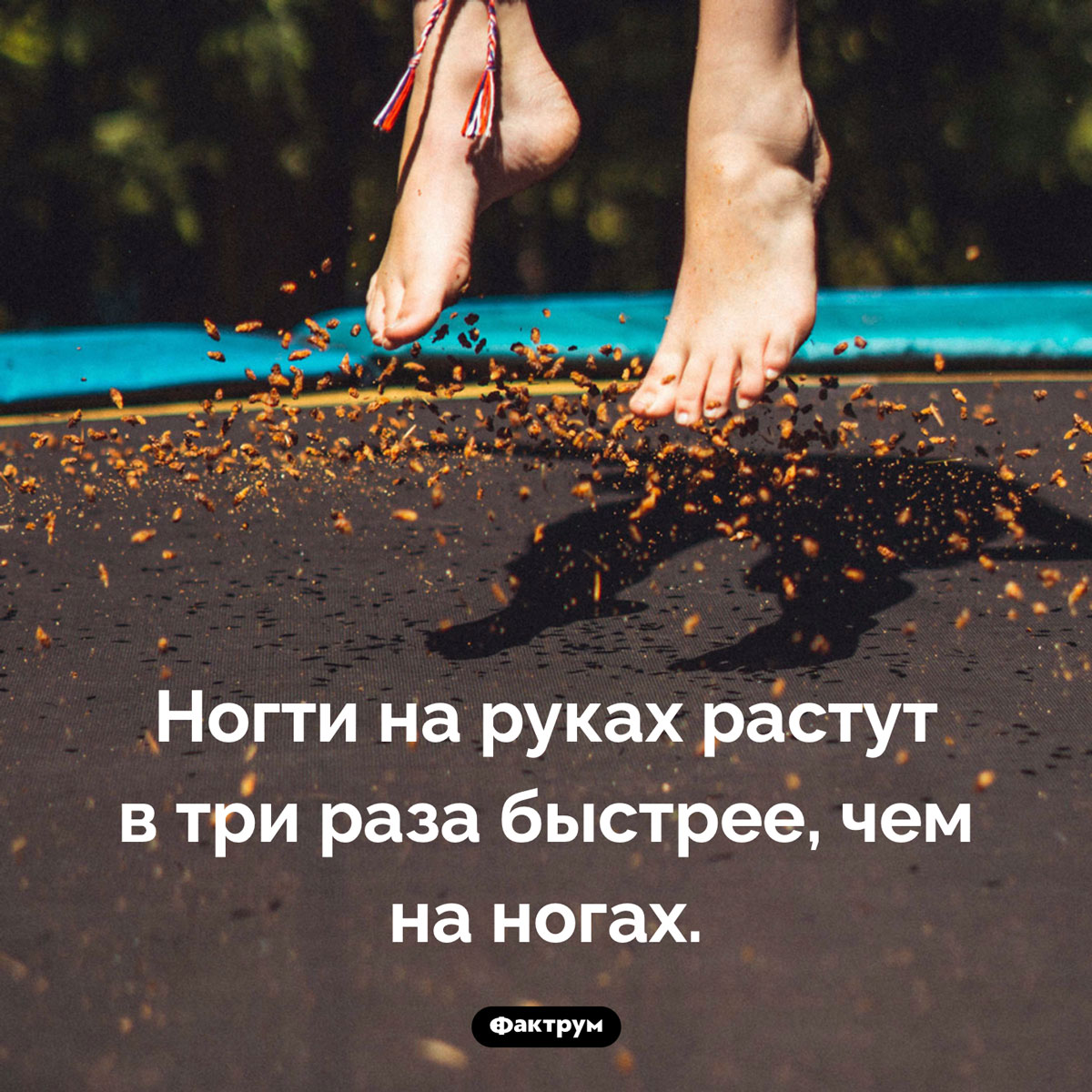 Какие ногти растут быстрее. Ногти на руках растут в три раза быстрее, чем на ногах.