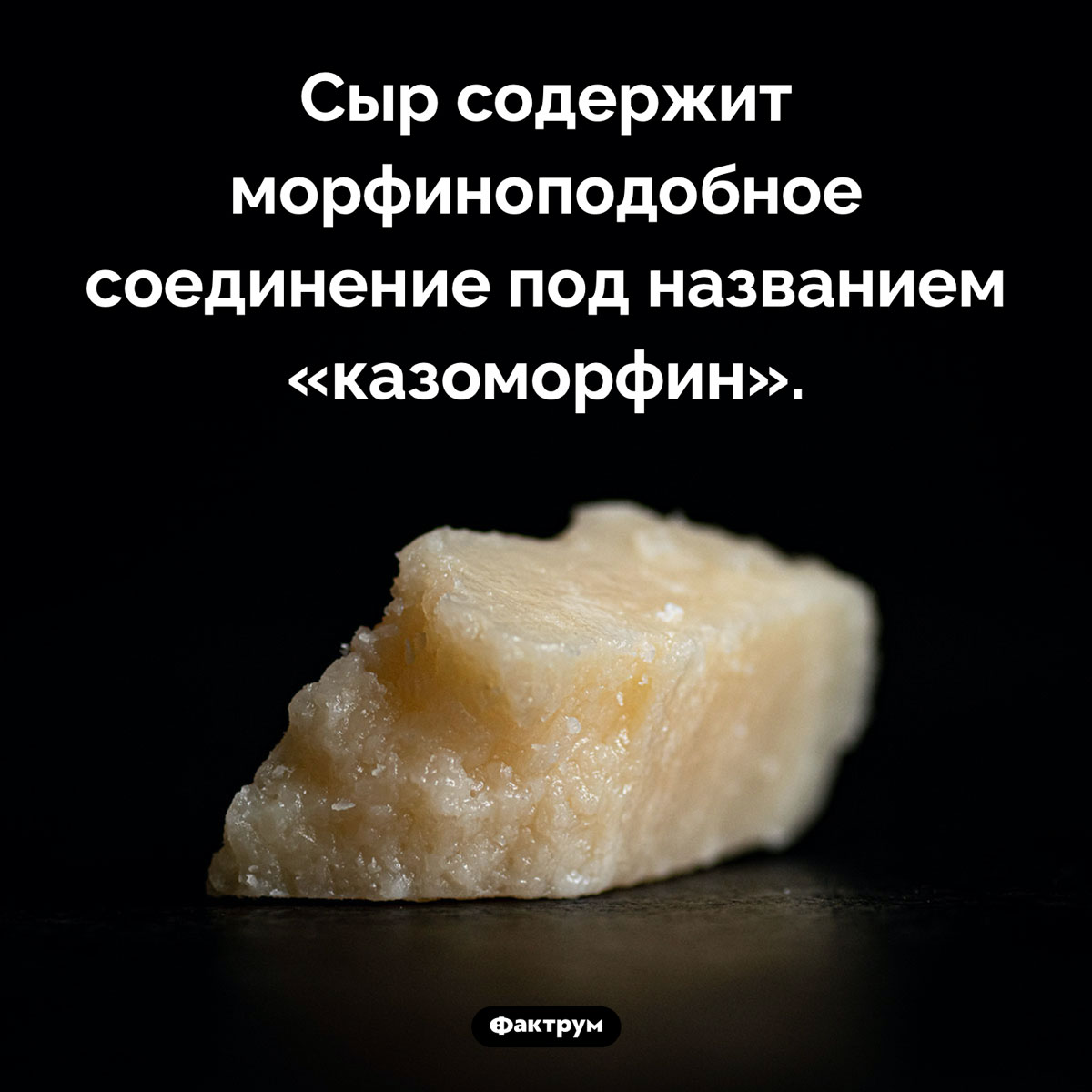Морфиноподобное соединение в сыре. Сыр содержит морфиноподобное соединение под названием «казоморфин».