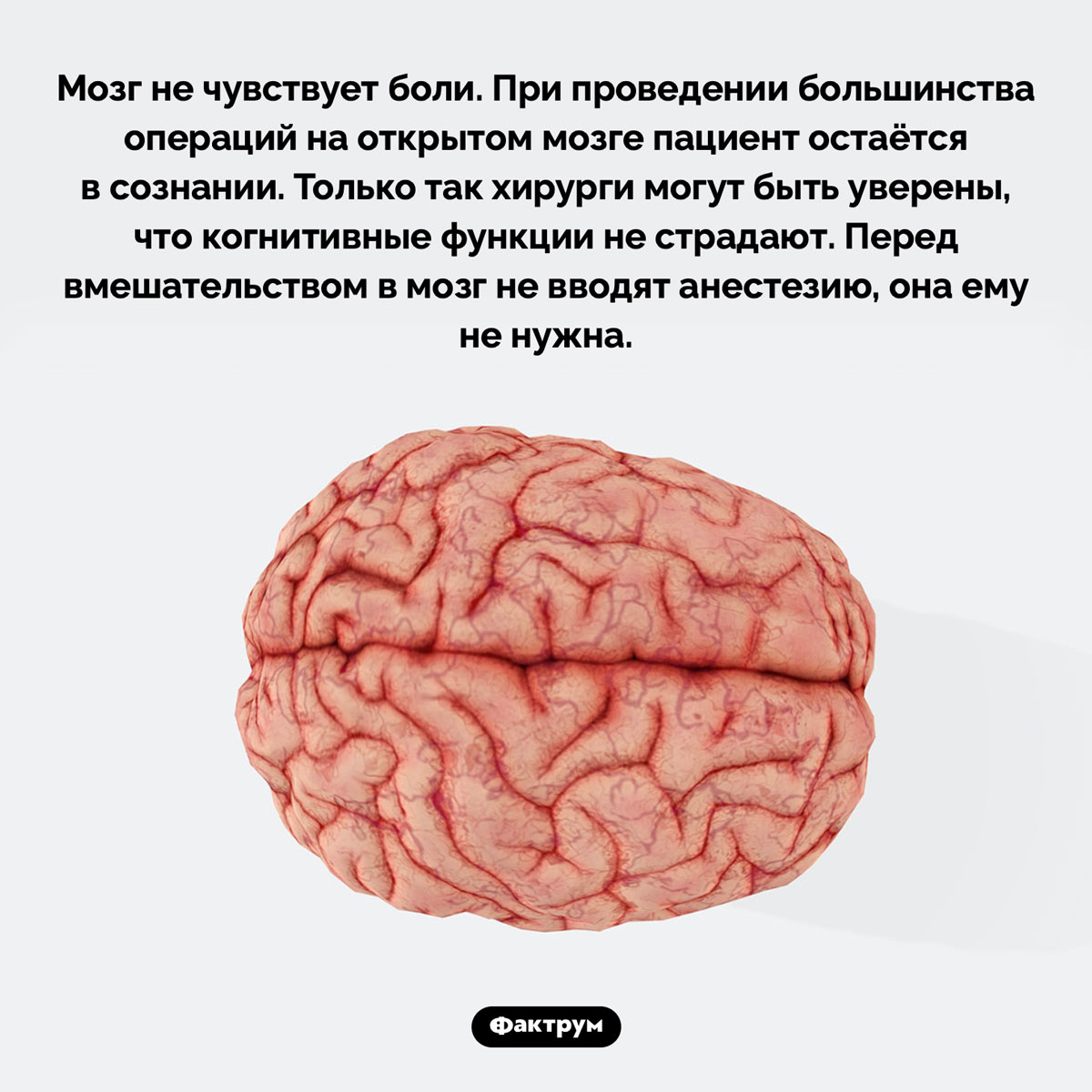 Мозг не чувствует боли. Мозг не чувствует боли. При проведении большинства операций на открытом мозге пациент остаётся в сознании. Только так хирурги могут быть уверены, что когнитивные функции не страдают. Перед вмешательством в мозг не вводят анестезию, она ему не нужна.