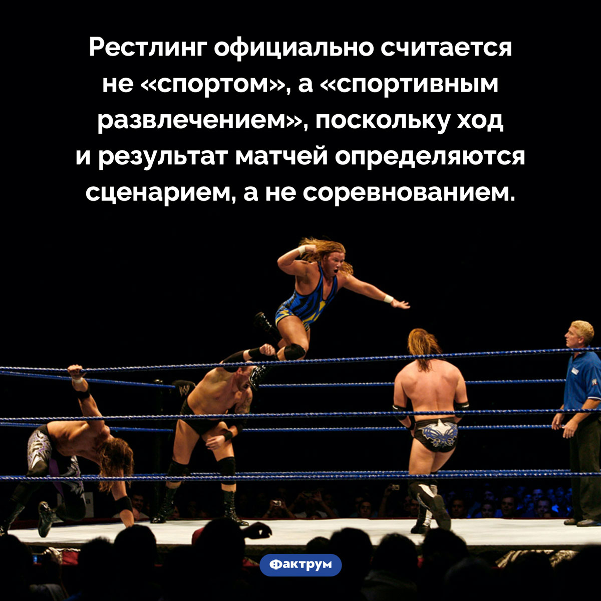 Рестлинг — не спорт. Рестлинг официально считается не «спортом», а «спортивным развлечением», поскольку ход и результат матчей определяются сценарием, а не соревнованием.