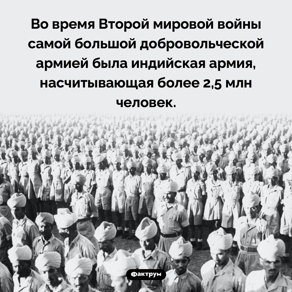 Самая большая добровольческая армия Второй мировой. Во время Второй Мировой войны самой большой добровольческой армией была индийская армия, насчитывающая более 2,5 млн человек.