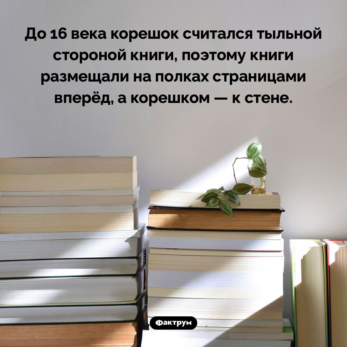 До 16 века книги ставили на полки страницами вперёд. До 16 века корешок считался тыльной стороной книги, поэтому книги размещали на полках страницами вперёд, а корешком — к стене.