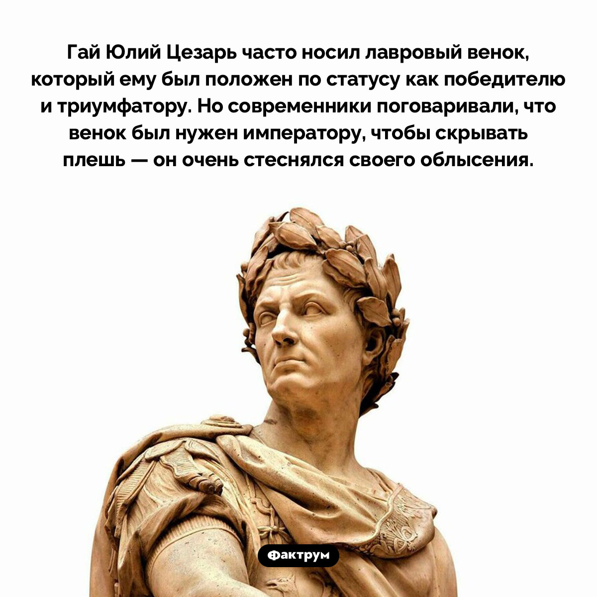 Гай Юлий Цезарь прятал лысину под венком. Гай Юлий Цезарь часто носил лавровый венок, который ему был положен по статусу как победителю и триумфатору. Но современники поговаривали, что венок был нужен императору, чтобы скрывать плешь — он очень стеснялся своего облысения.