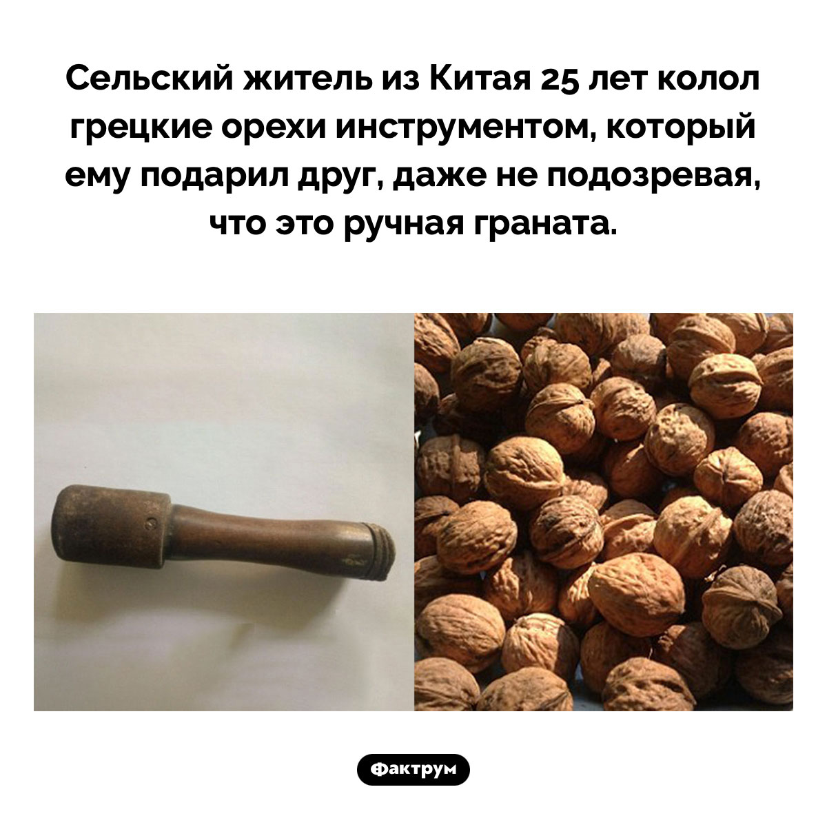 Граната для колки орехов. Сельский житель из Китая 25 лет колол грецкие орехи инструментом, который ему подарил друг, даже не подозревая, что это ручная граната.