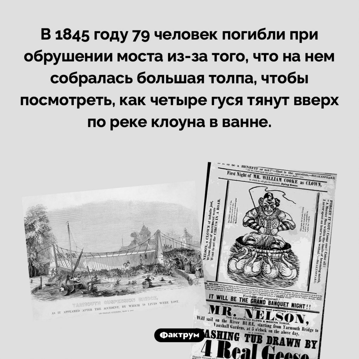 Как клоун в ванне косвенно погубил 79 человек. В 1845 году 79 человек погибли при обрушении моста из-за того, что на нем собралась большая толпа, чтобы посмотреть, как четыре гуся тянут вверх по реке клоуна в ванне.