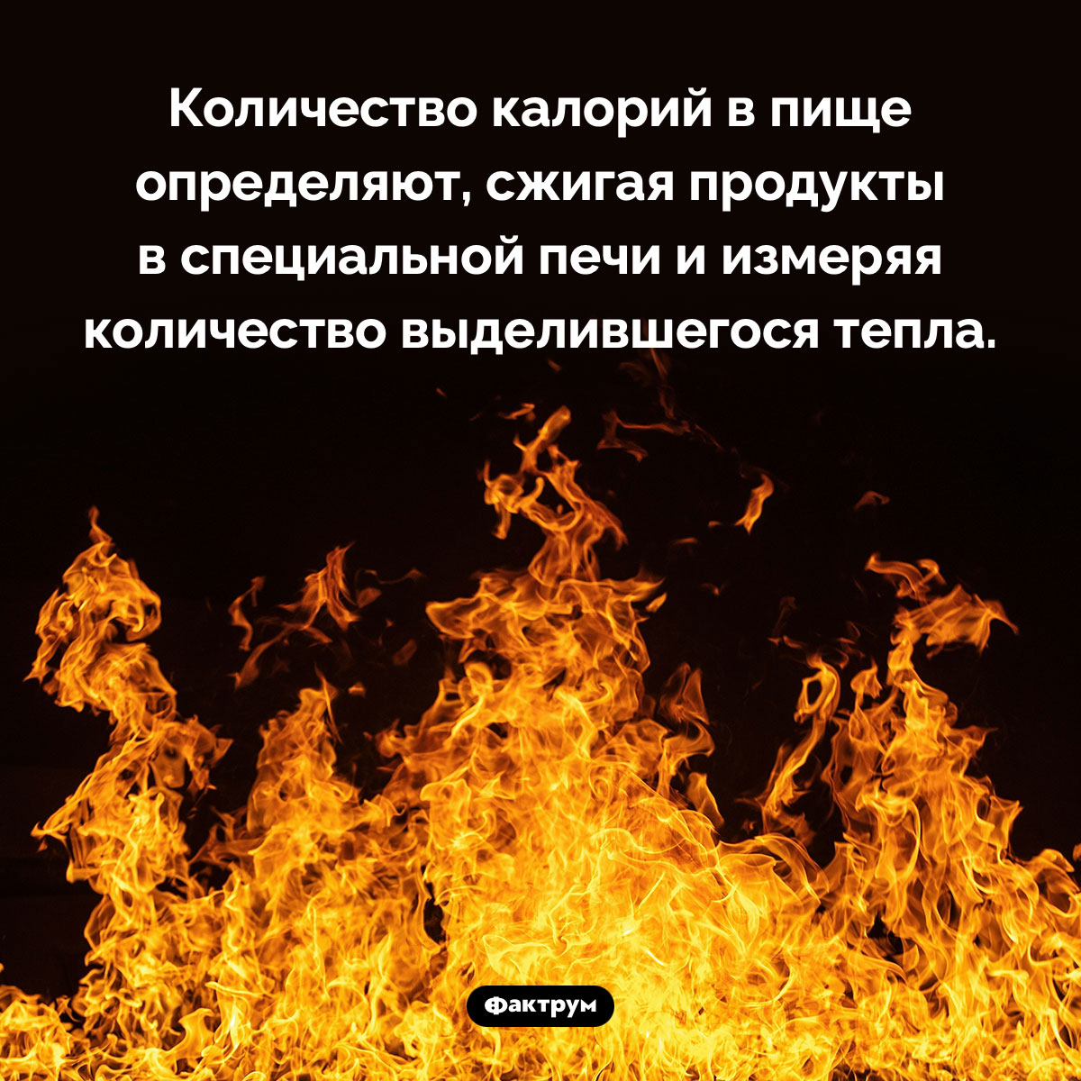 Как определяют, сколько в еде калорий. Количество калорий в пище определяют, сжигая продукты в специальной печи и измеряя количество выделившегося тепла.