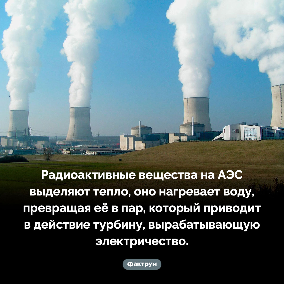 Как работает радиация на АЭС. Радиоактивные вещества на АЭС выделяют тепло, оно нагревает воду, превращая её в пар, который приводит в действие турбину, вырабатывающую электричество.