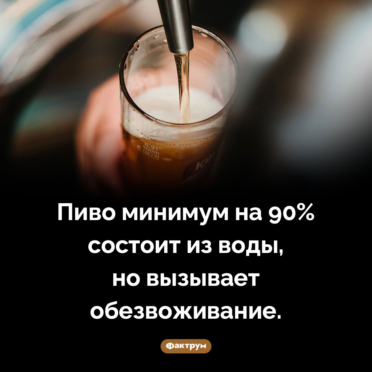 Из чего, в основном, состоит пиво. Пиво минимум на 90% состоит из воды, но вызывает обезвоживание.